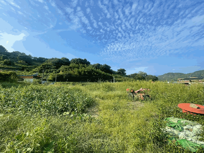 본건 기호 2) 전경
