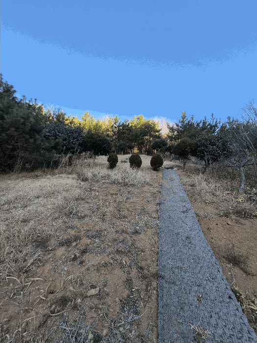 일련번호(7)토지상의 분묘1