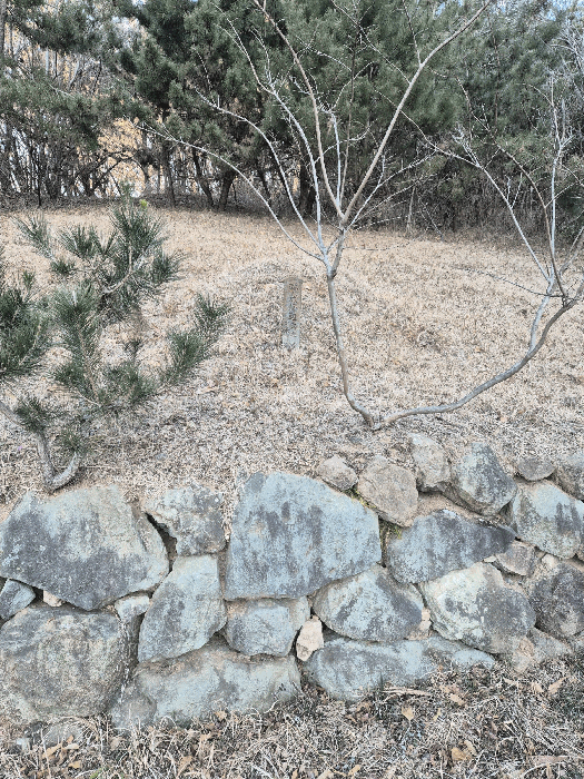일련번호(9)토지상의 분묘1