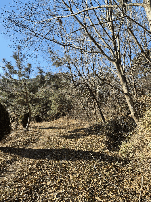 일련번호(9)토지상의 분묘 및 토지전경