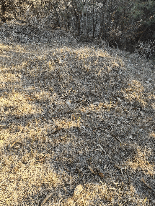 일련번호(5)토지상의 분묘