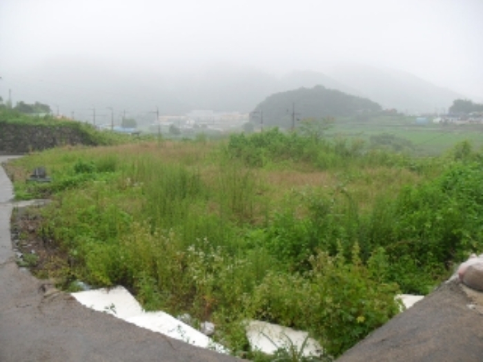 2023타경2731[3]