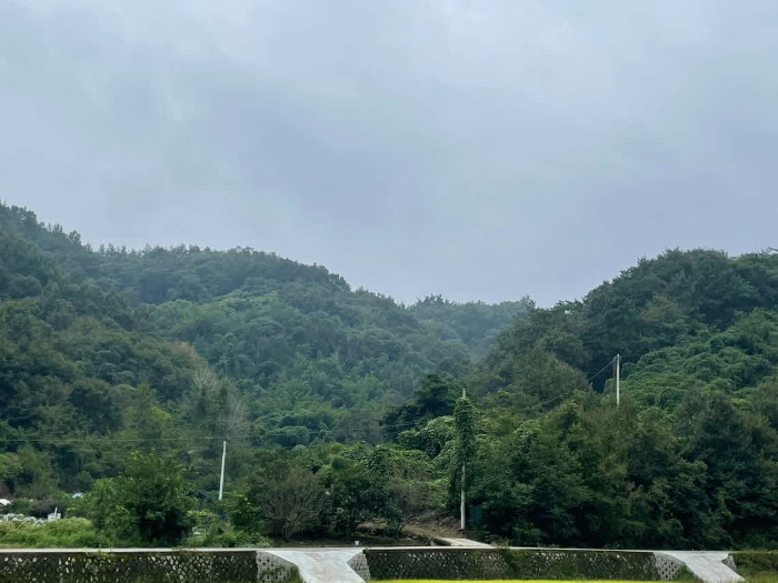 2023타경35946