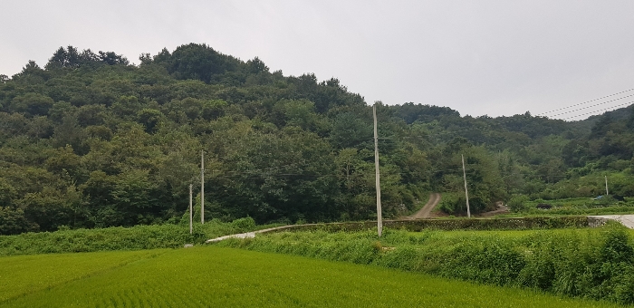 2023타경35946