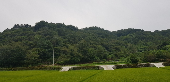 2023타경35946