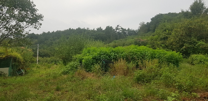 2023타경35946