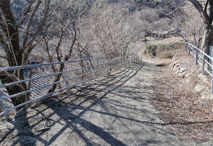 기호(8) 전경