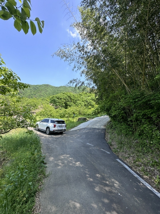 토지 (1) 전경 - 1