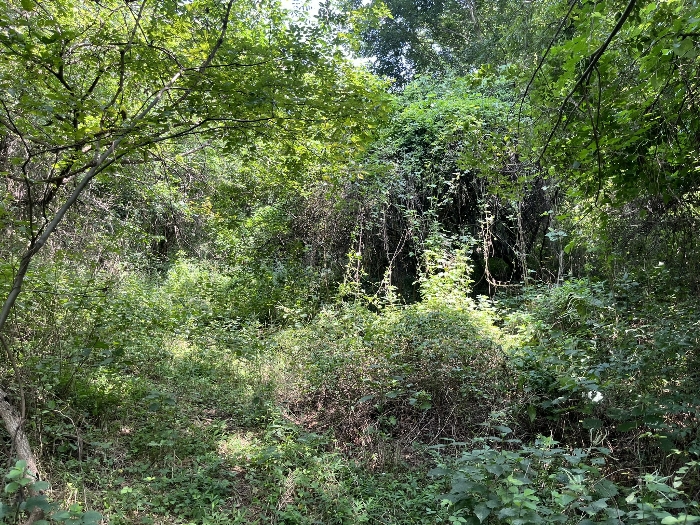 본건 전경