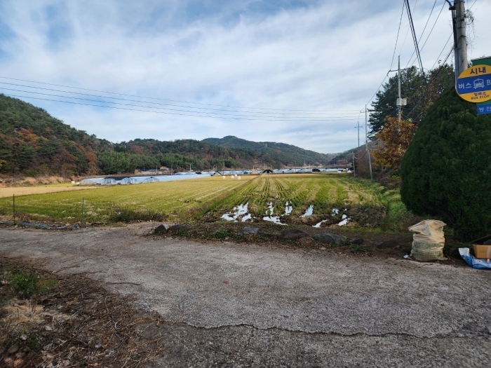 본건 전경