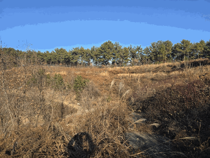 일련번호 1
