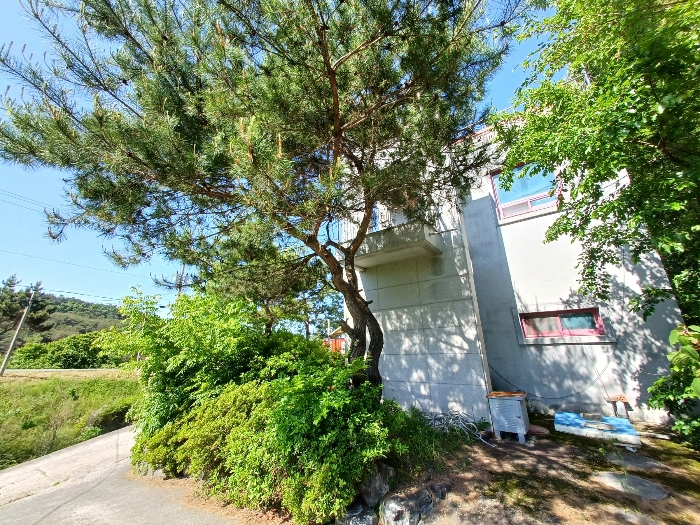 제시외수목 기호(ㅅ)