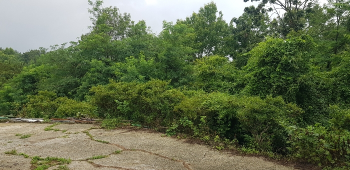 본건 전체 전경