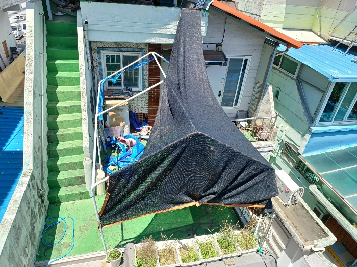 본건