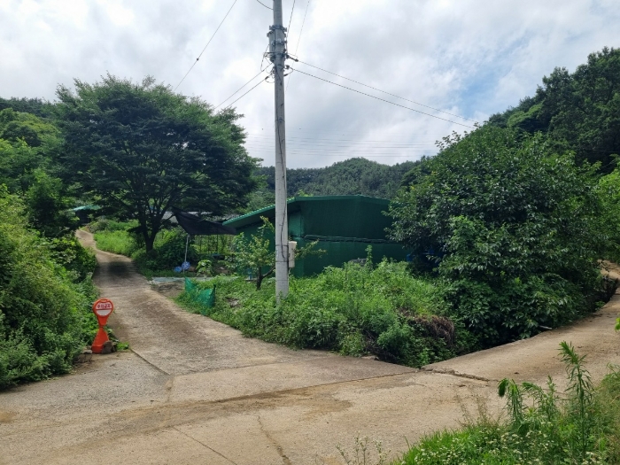 본건 사진