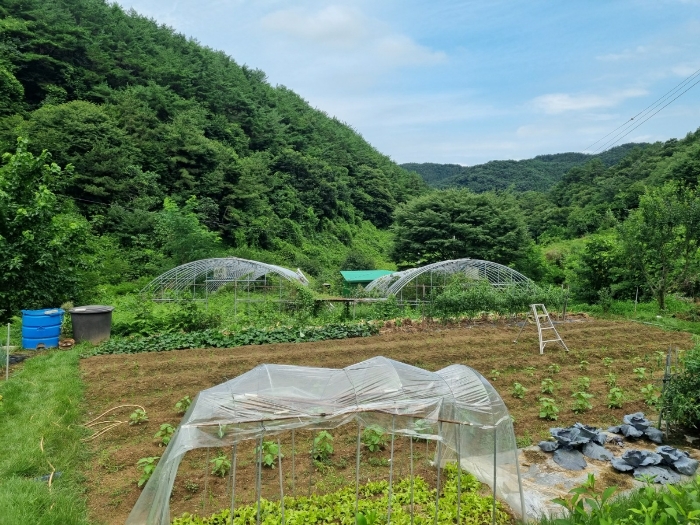 본건 사진