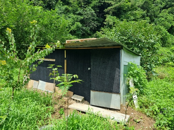 본건 지상 타인소유로 탐문되는 건물