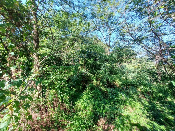 기호(2)