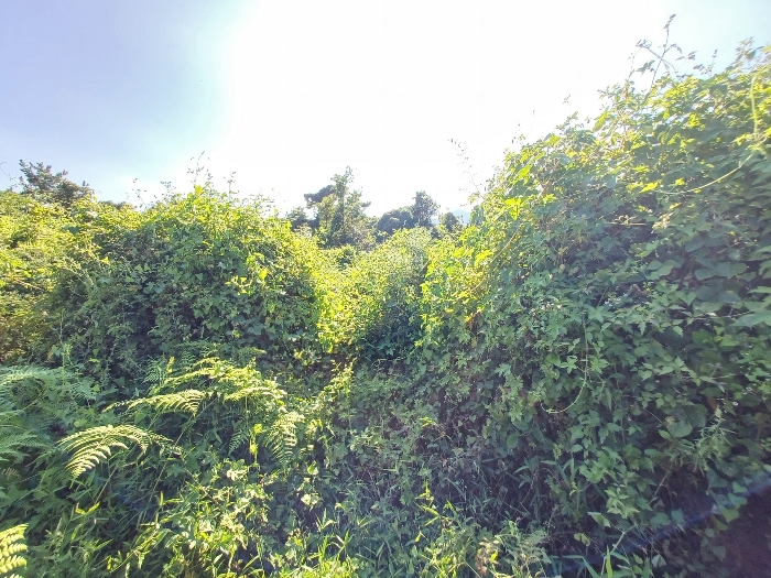 기호(6)