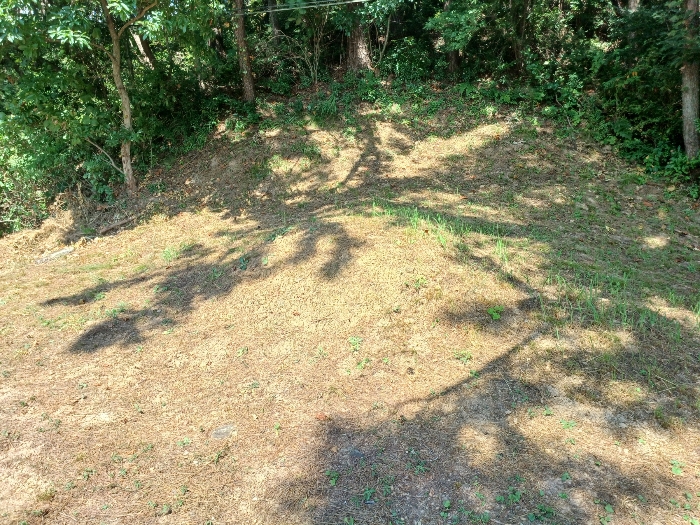 기호(1) 지상 분묘 등