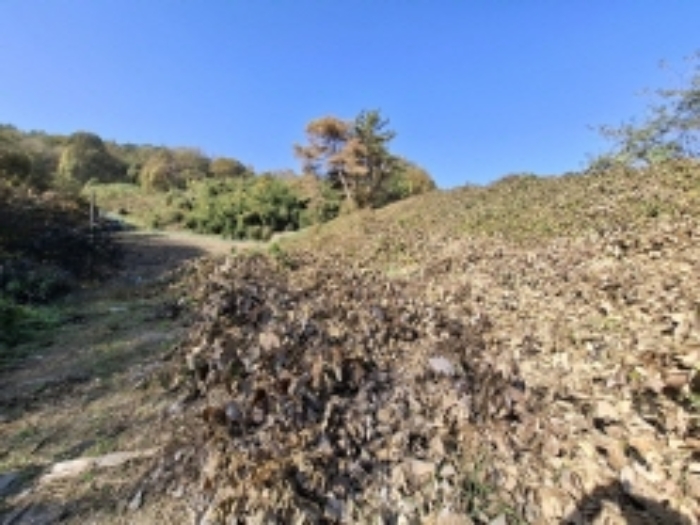 물건번호5.