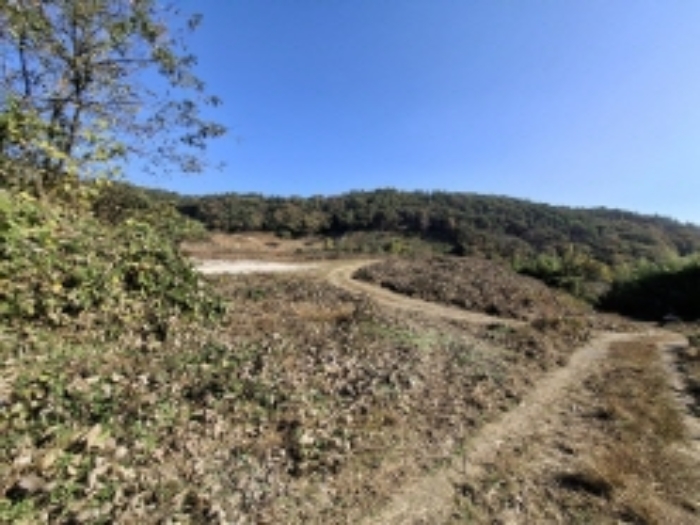 물건번호5.