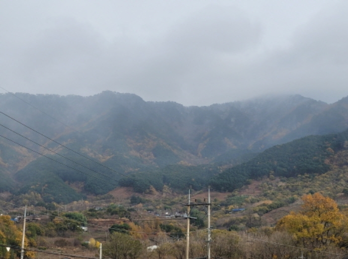 2024타경39297
