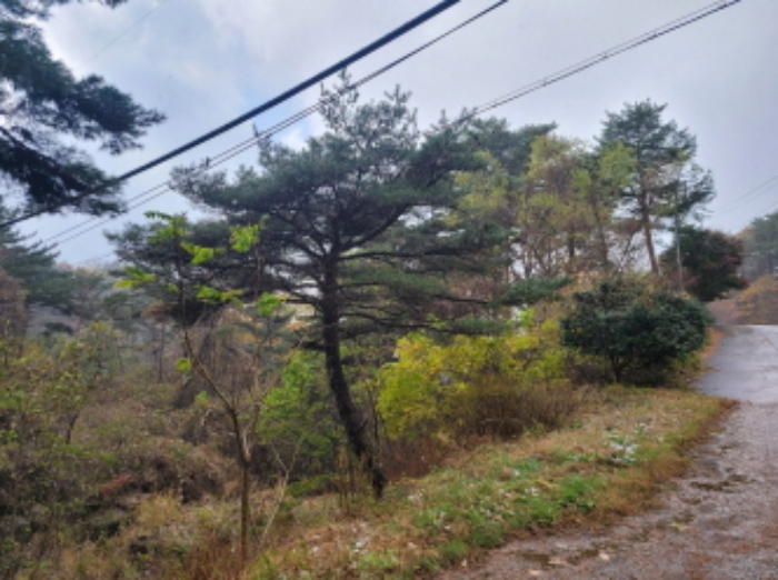 2024타경39297