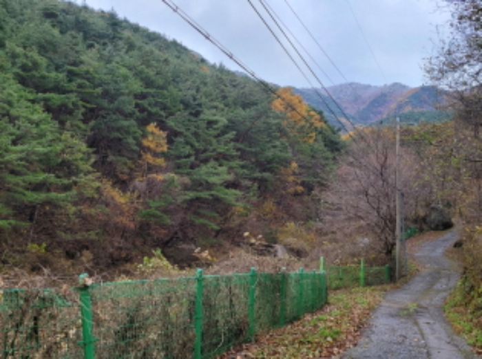 2024타경39297