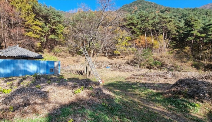 2024타경39297