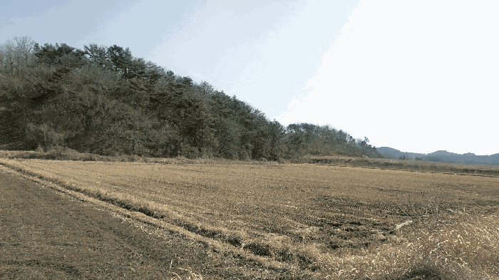 본건전경