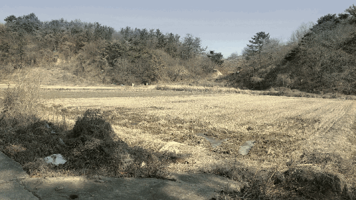 본건전경