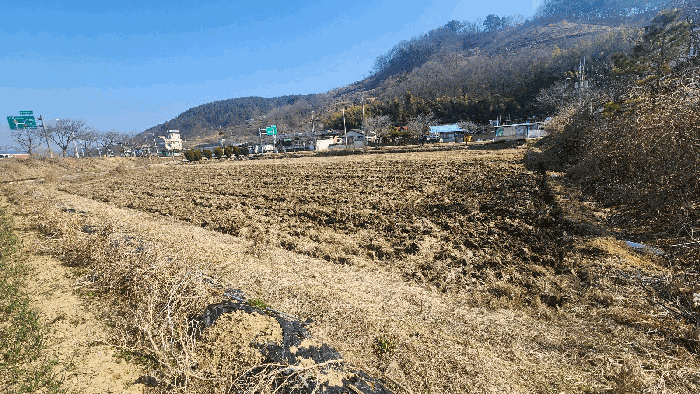 기호(1) 전경
