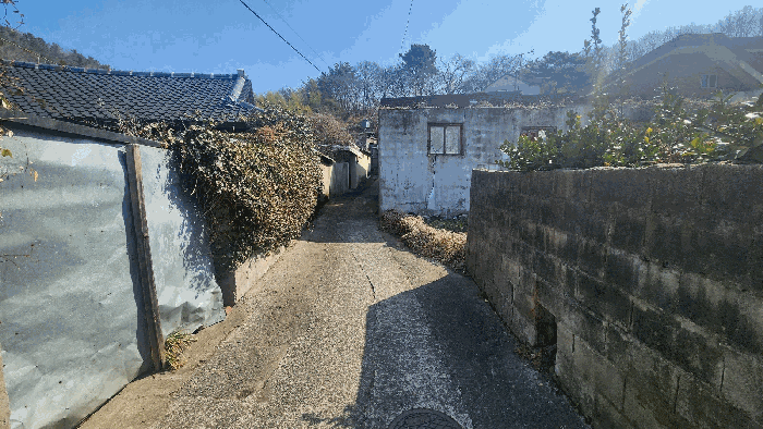 기호(2) 전경