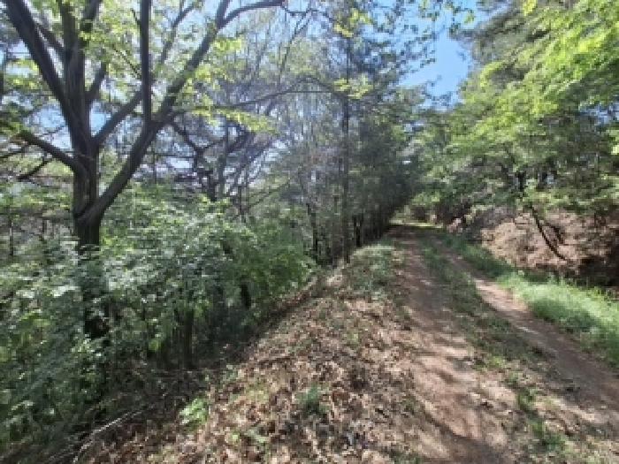 목록번호2.