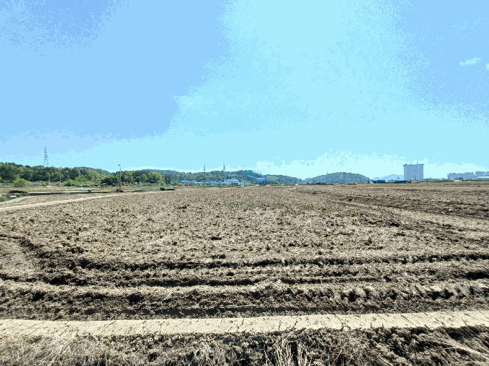 본건 전경