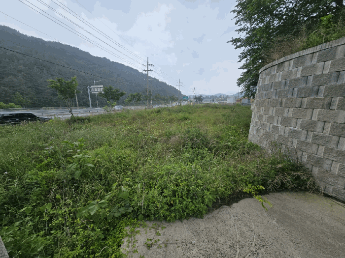 본건 사진(일련번호 1~4,7,9)