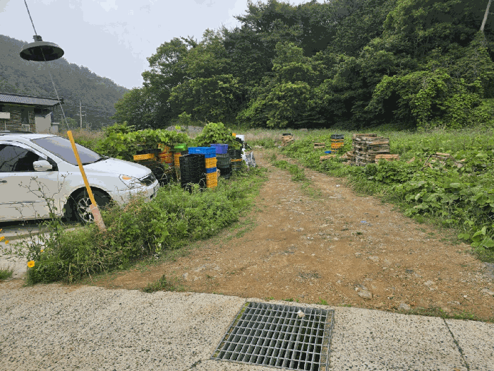 본건 사진(일련번호 8)