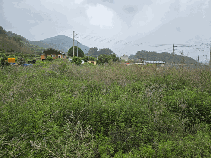 본건 사진(일련번호 5,6)