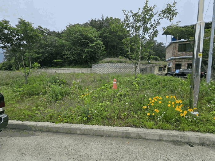 본건 사진(일련번호 1~4,7,9)