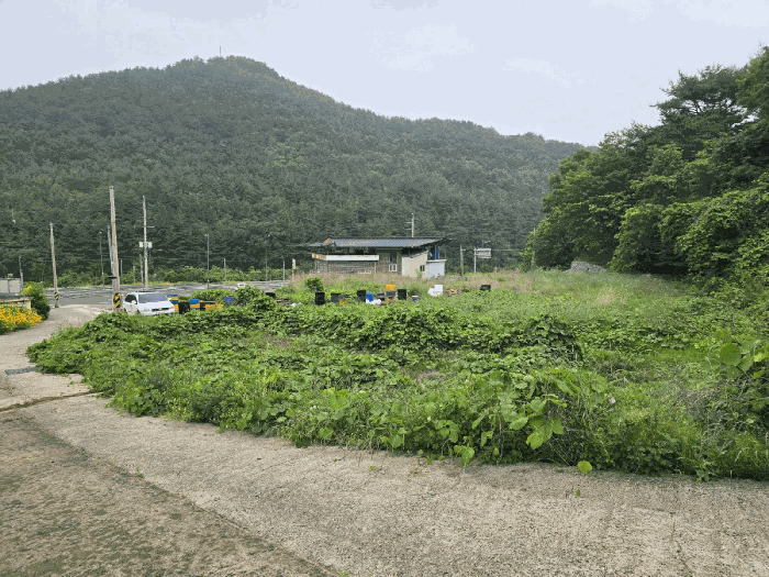 본건 사진(일련번호 5,6)