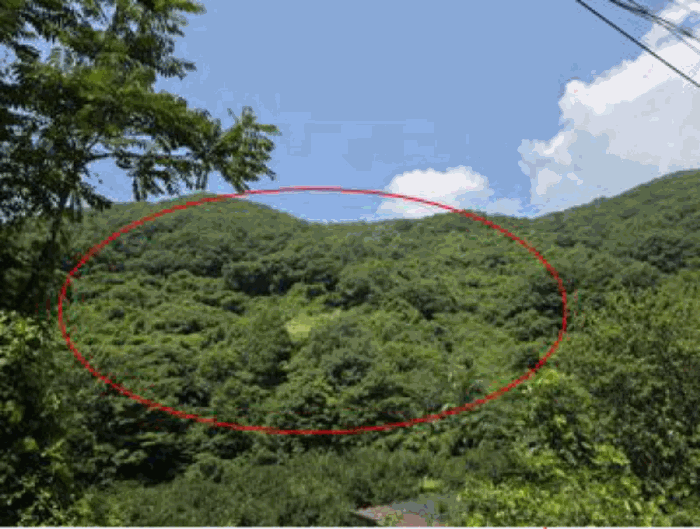 본건 기호(14)