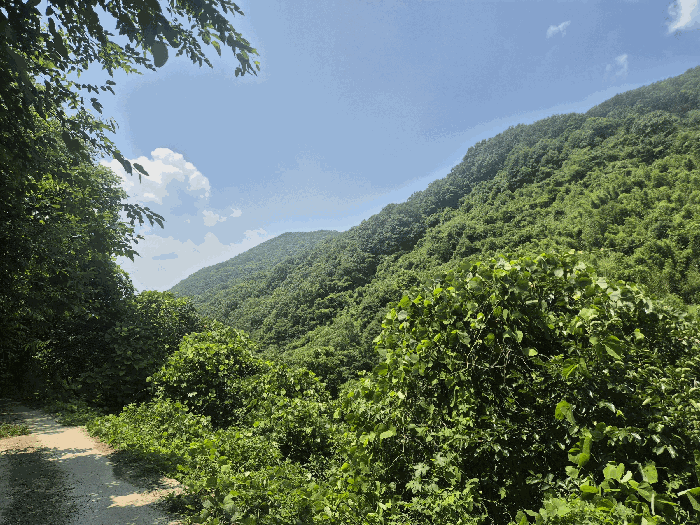 본건 기호(3~15) 주위환경