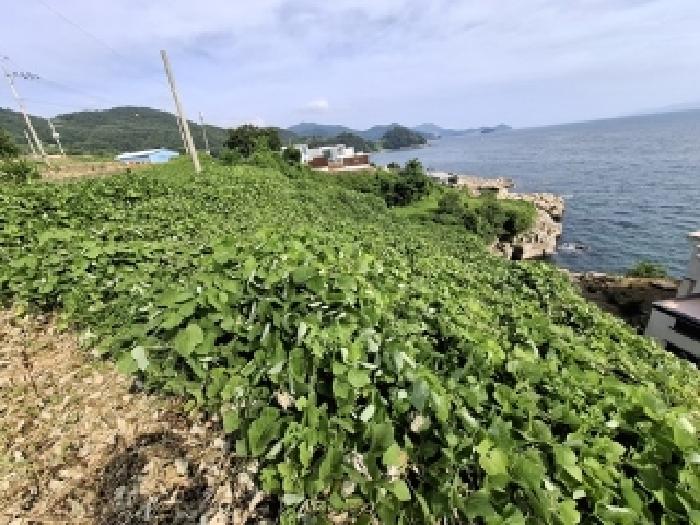 목록번호1.