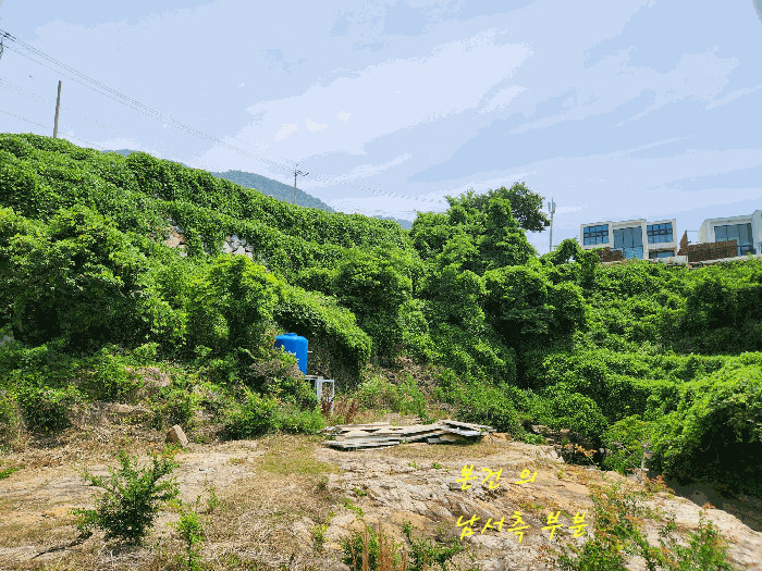 본건의 남서측 부분을 중심으로
서측에서 동측을 향하여 촬영