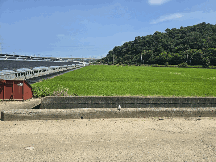 본건 사진