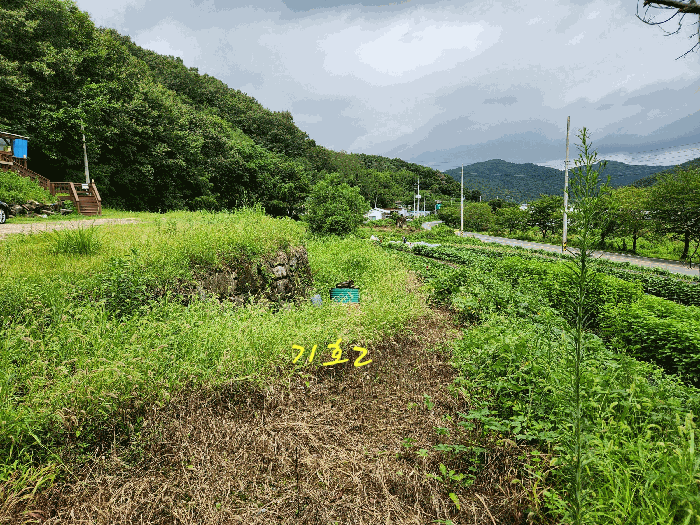 기호2 전경
남동측 지적경계 부근에서 북서측을 향하여 촬영