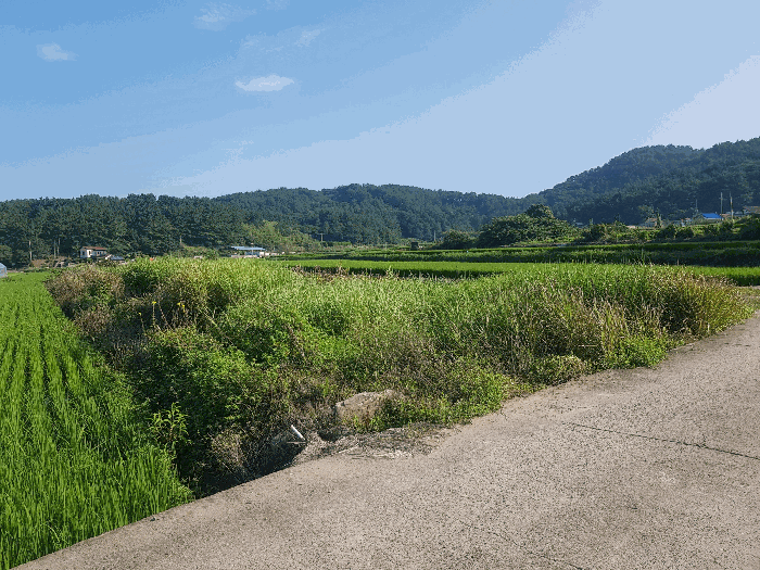 본건 전체 전경
