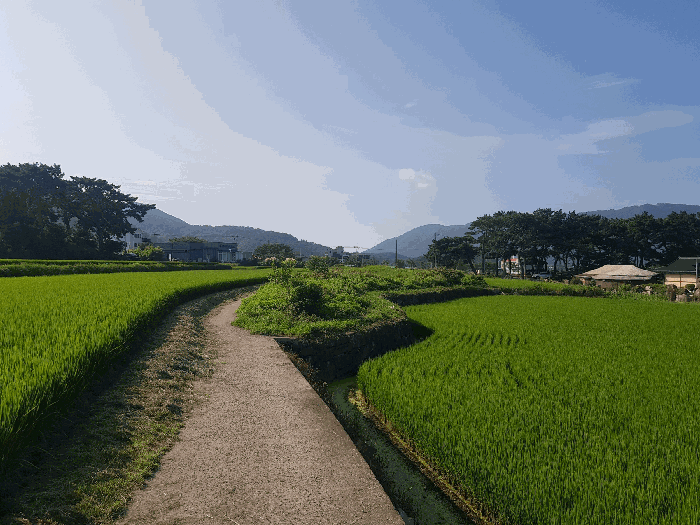 본건 전체 전경