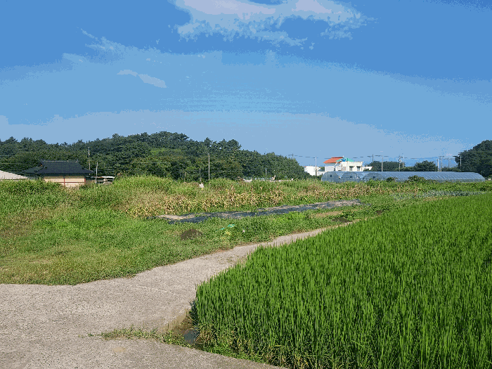 본건 전체 전경